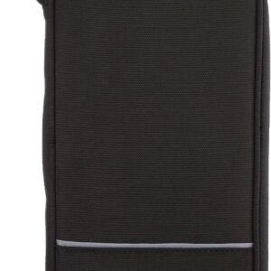 Amazon Basics RFID Travel Passport Wallet Organizer, 10 x 5 Inches, Black, Solid